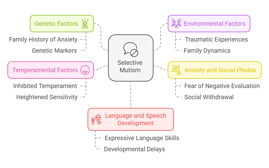 Causes of selective mutism: genetic, environmental, anxiety, developmental.