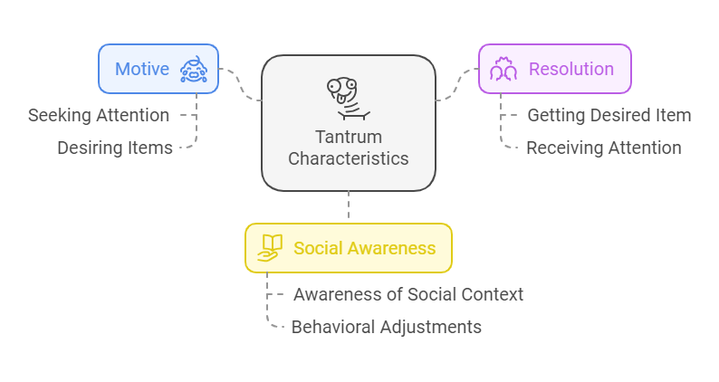 tantrum characteristics with main triggers and outcome flow