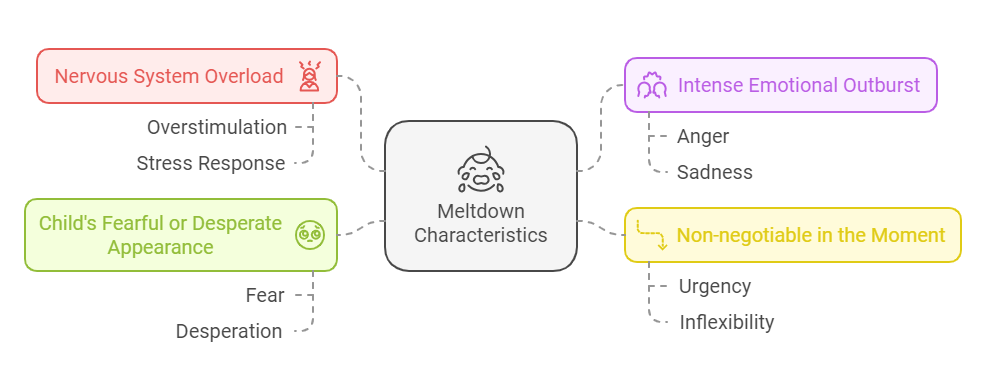 visual presentation of autism meltdown in children with triggers and flow down of nervous processes