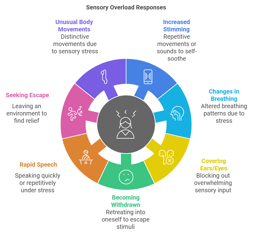 sensory overload diagram with Increased stimming, Changes in breathing patterns, Covering ears or eyes, Becoming very quiet or withdrawn, Rapid speech or repetitive questions, Seeking escape from current environment
Unusual body tension or movements